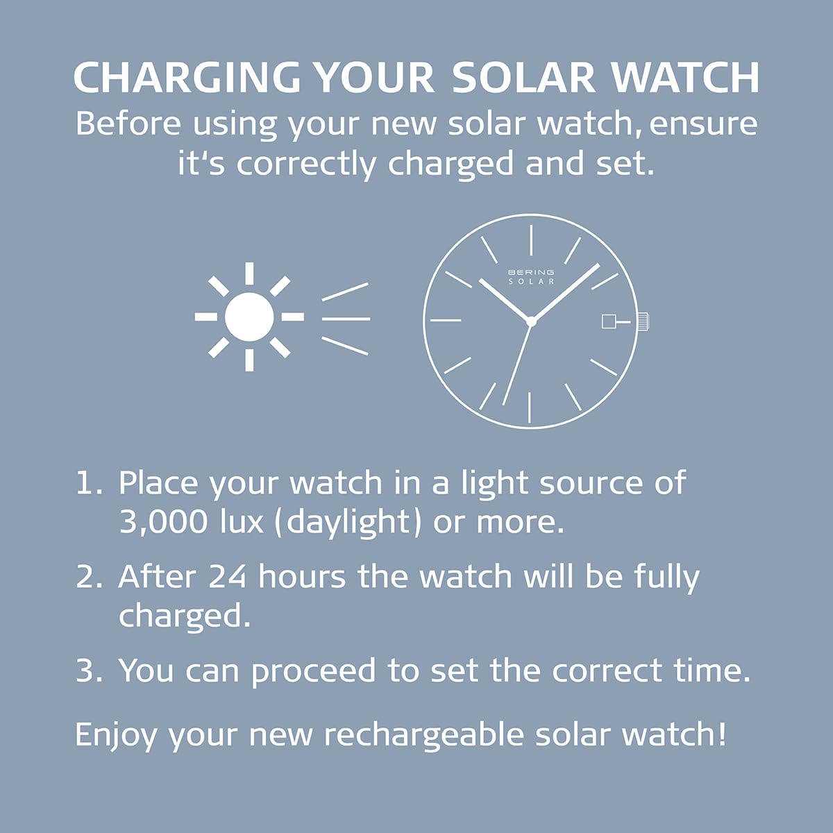 BERING Solar Movement 14631-307 Women's Watch with Stainless Steel and Sapphire Glass