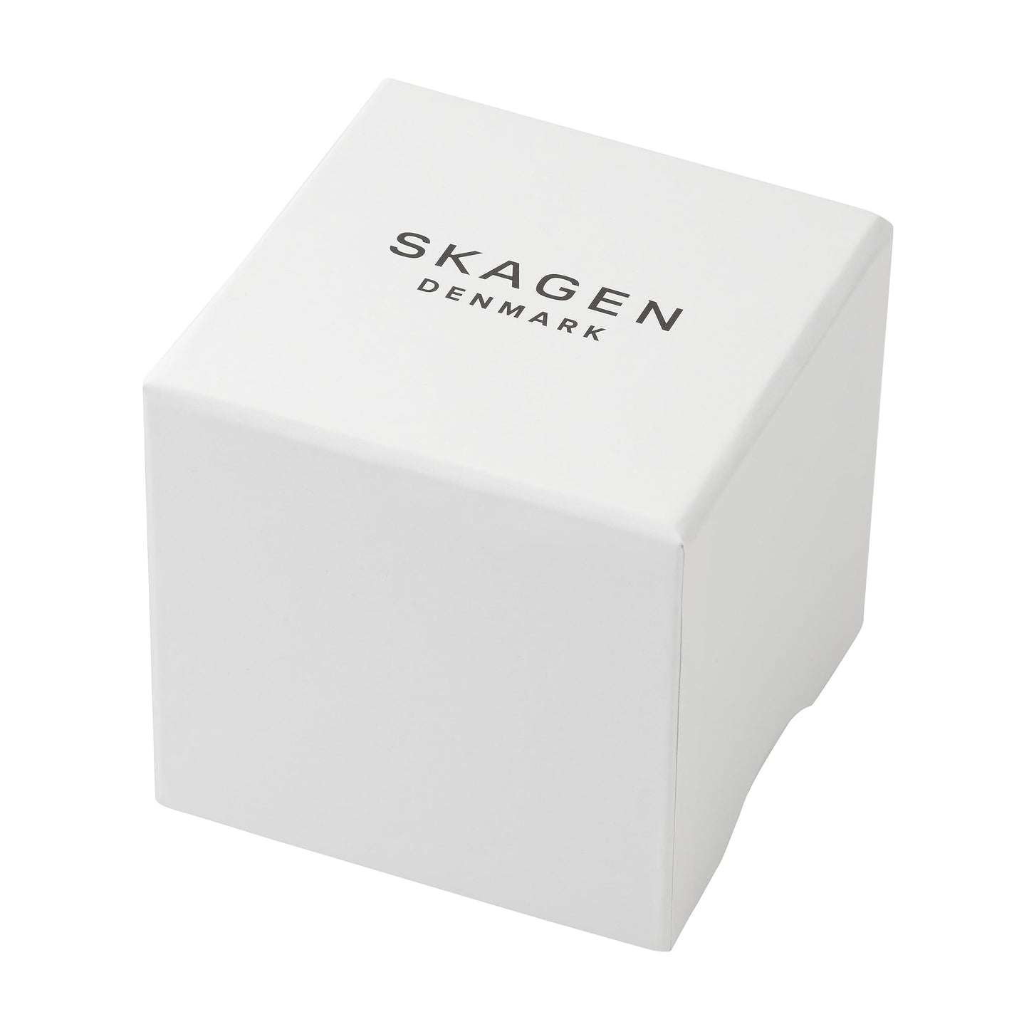 Skagen Men's Melbye Three-Hand Day Date Silver and Gray Titanium Mesh Band Watch (Model: SKW6078)